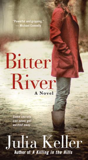 Cover of the book Bitter River by Alisa Valdes-Rodriguez