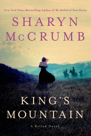 Cover of the book King's Mountain by Maggie Barbieri