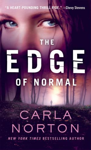Cover of the book The Edge of Normal by Amelia Grey