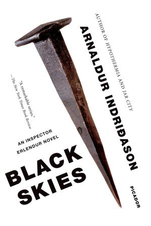 Cover of the book Black Skies by Brenda Scott Royce