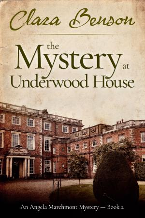 Cover of the book The Mystery at Underwood House by David Bishop