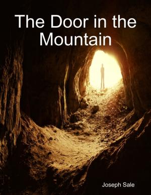 Cover of the book The Door in the Mountain by Sean Supsky