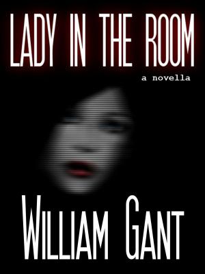 Cover of the book Lady in the Room by Chris Butler