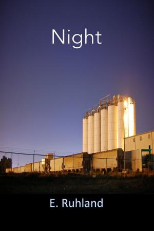 Cover of the book Night by Will Evans