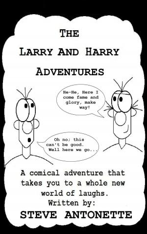 Cover of the book The Larry and Harry Story by Don Wilson