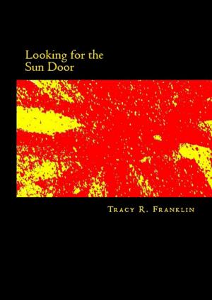 Book cover of Looking for the Sun Door