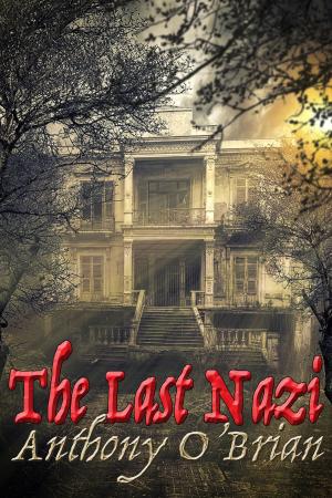 Cover of the book The Last Nazi by JM Ross