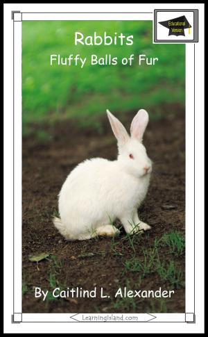 Cover of the book Rabbits: Fluffy Balls of Fur: Educational Version by Swati Sharma