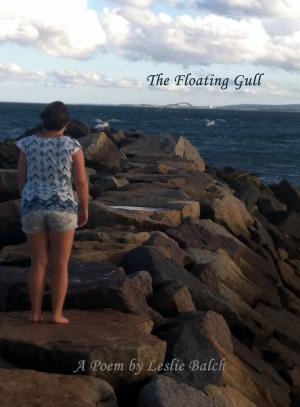 Book cover of The Floating Gull: A Poem