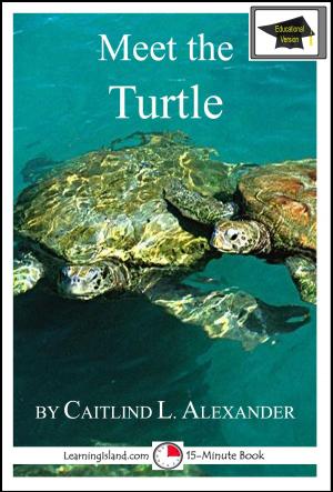 Cover of the book Meet the Turtle: Educational Version by Jeannie Meekins