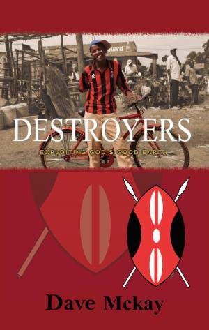 Cover of the book Destroyers by Lisa Reimer