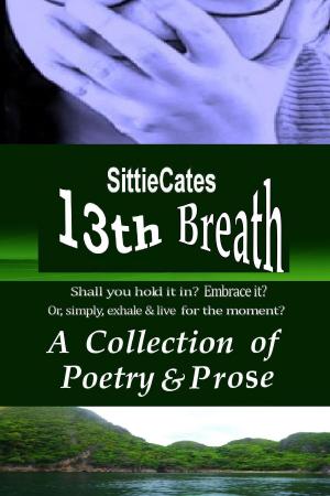 Cover of the book 13th Breath: A Collection of Poetry & Prose by Michael Johnson