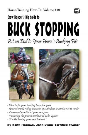 Book cover of Crow Hopper's Big Guide to Buck Stopping