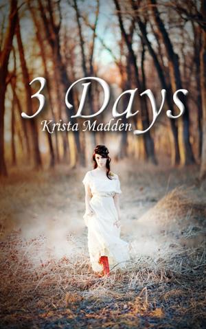 Cover of the book 3 Days by Susan Marie Murdoch