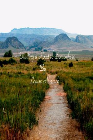 Cover of the book Finding a Road to Somewhere by Jeannine Vegh