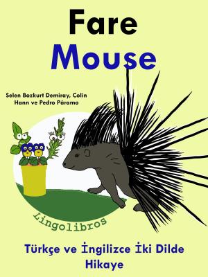 Book cover of Türkçe ve İngilizce İki Dilde Hikaye: Fare - Mouse - İngilizce Öğrenme Serisi