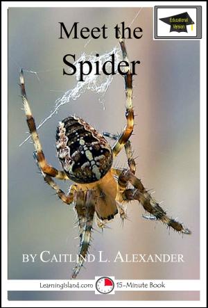 Cover of the book Meet the Spider: Educational Version by E. G. Walker