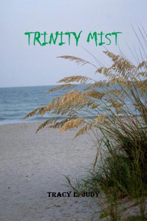 Book cover of Trinity Mist