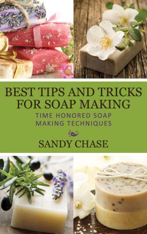 Cover of the book Best Tips And Tricks For Soap Making Time Honored Soap Making Techniques by Anna Gracey