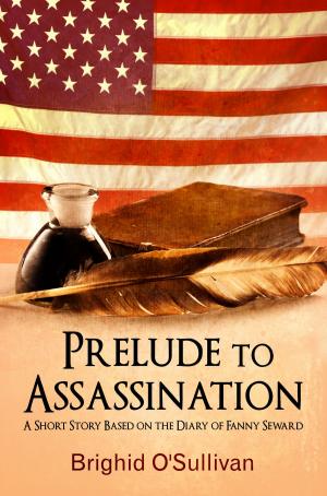 Cover of the book Prelude to Assassination by Brighid