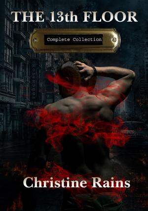 bigCover of the book The 13th Floor Complete Collection by 