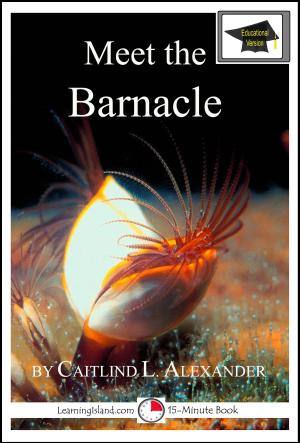 Cover of the book Meet the Barnacle: Educational Version by Caitlind L. Alexander