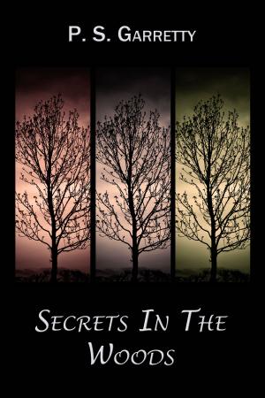 Cover of the book Secrets In The Woods by Mina Khan