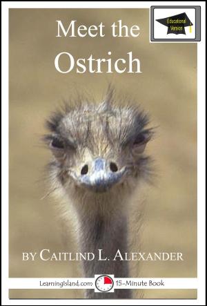 Cover of the book Meet the Ostrich: Educational Version by Caitlind L. Alexander
