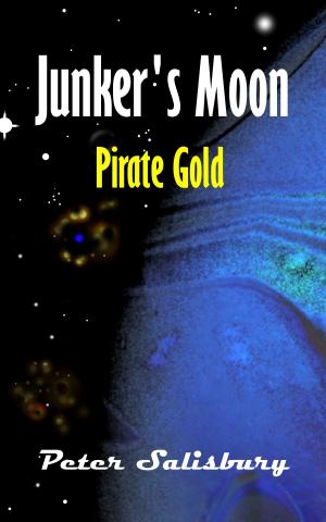 Book cover of Junker's Moon: Pirate Gold