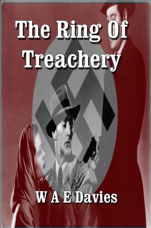 Cover of The Ring Of Treachery