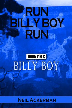 bigCover of the book Run Billy Boy Run, Book Four: Billy Boy by 