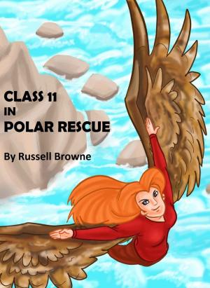 bigCover of the book Class 11 in Polar Rescue by 