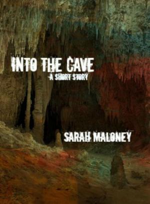 Cover of the book Into The Cave by Herb Blanchard