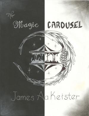 Book cover of The Magic Carousel