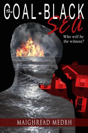 Cover of the book The Coal-black Sea by Sylvie BRISSET