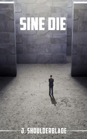 bigCover of the book Sine Die by 