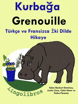 Book cover of Türkçe ve Fransizca İki Dilde Hikaye: Kurbağa - Grenouille - Fransizca Öğrenme Serisi