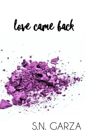 Cover of the book Love Came Back by S. N. Garza