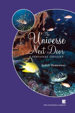 Cover of the book The Universe Next Door: A Personal Odyssey by Adam Lee