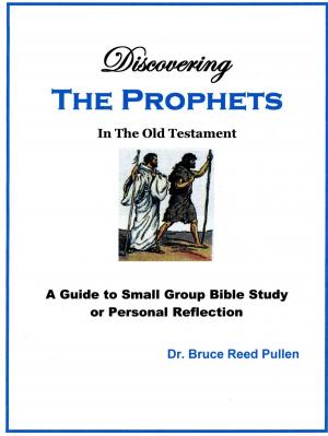 Cover of the book Discovering The Prophets in the Old Testament: A Small Group Bible Study by Julia White