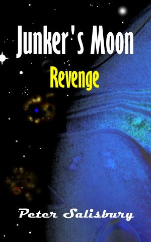 Book cover of Junker's Moon: Revenge
