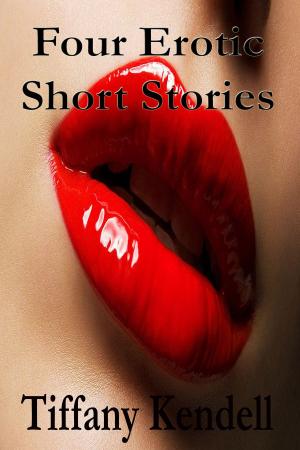 Cover of the book 4 Erotic Short Stories by Vera Saint-Luc