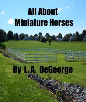 bigCover of the book All About Miniature Horses by 