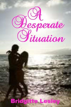 Book cover of A Desperate Situation