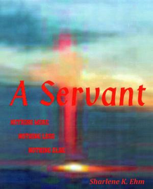 Cover of the book A Servant by Sherri Schettler