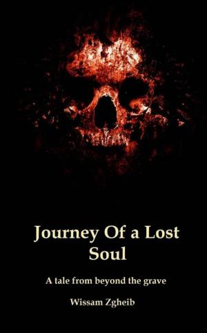 Cover of the book Journey Of a Lost Soul by Linda Anne Smith