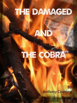 Cover of the book The Damaged and The Cobra by R.L. Naquin