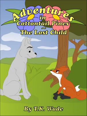Book cover of Adventures in Cottontail Pines: The Lost Child