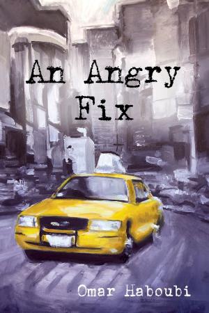 Cover of the book An Angry Fix by EN McNamara