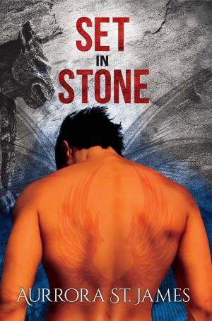 Cover of the book Set in Stone by Lea Kirk